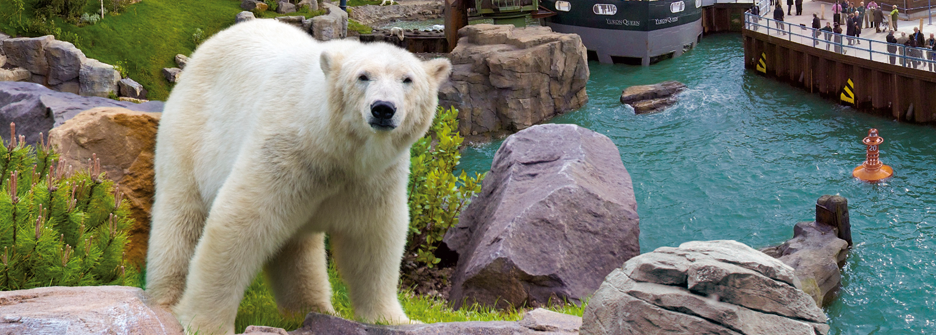 Zoo Hannover